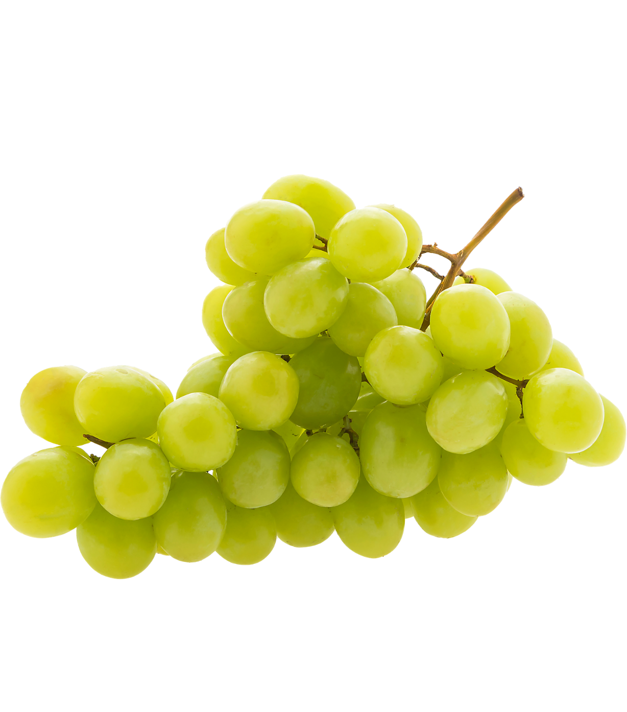 aceite
